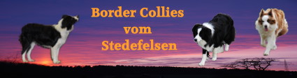 Banner neu