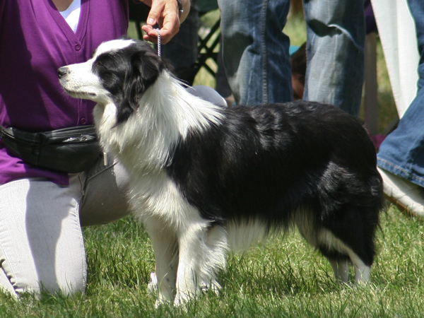 CAC-Wiesental_2011 (18 von 63)
