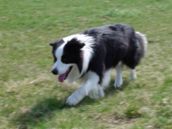 DSC03227ostern