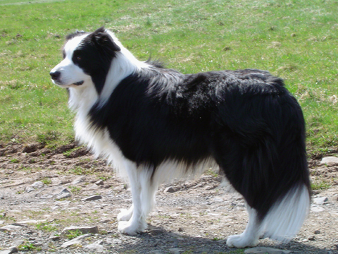 DSC03244-ostern