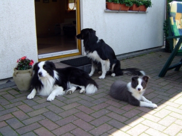 DSC03854_bordertrio.7