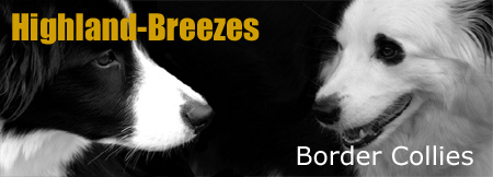 Highland-Breezes_Banner_o8