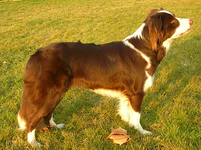 abbey_01