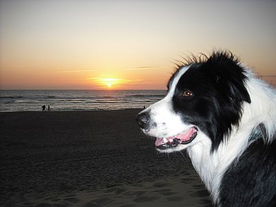 bandit_01