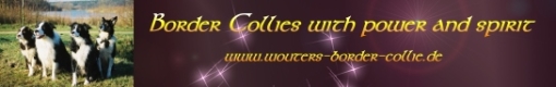banner_HP1_wouters_neu