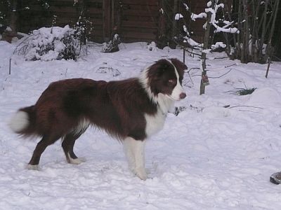 barkley_01