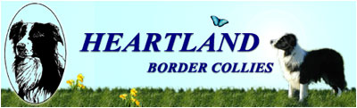 heartland banner